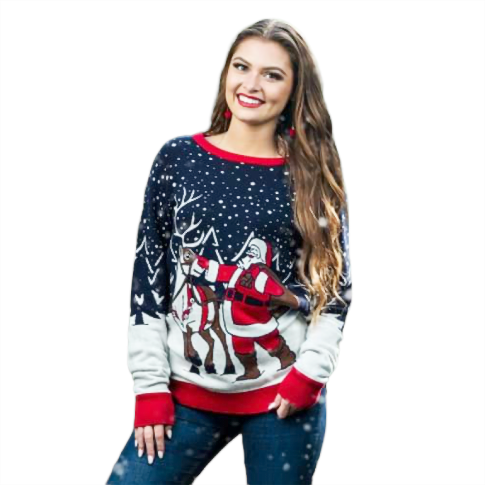 Santa And Reindeer  Sweater